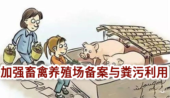 農(nóng)業(yè)部：加強(qiáng)畜禽養(yǎng)殖場備案與糞污利用