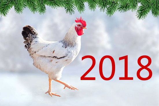 2018B(yng)uИI(y)h(hun)RЩ׃(sh)